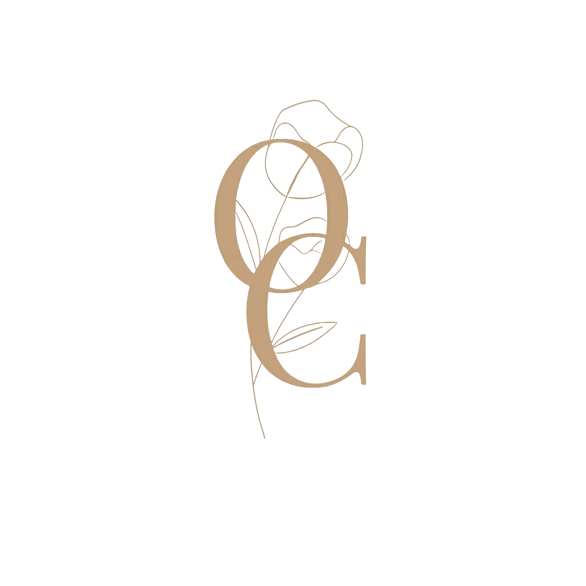 Olhos Criativos Ícone